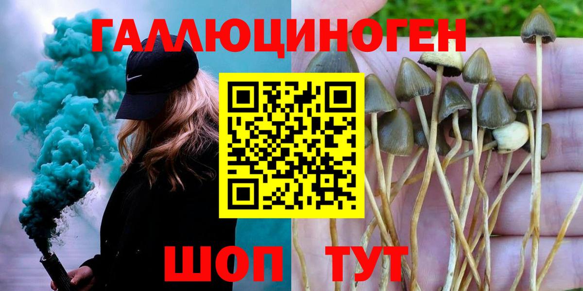 Галлюциногенные грибы Magic Shrooms Энгельс