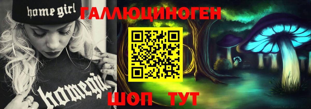 Энгельс  Псилоцибиновые грибы MAGIC MUSHROOMS  Галлюциногенные грибы MAGIC MUSHROOMS  Вход с VPN 